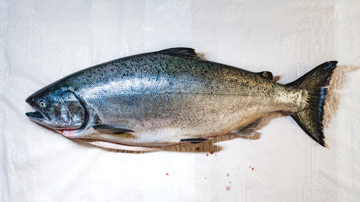 Diabetische Neuropathie und Fischöl